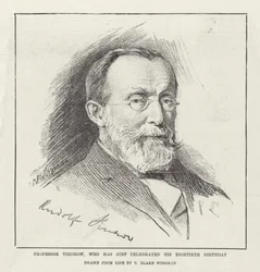 Professor Virchow, som just har firat sin åttioårsdag